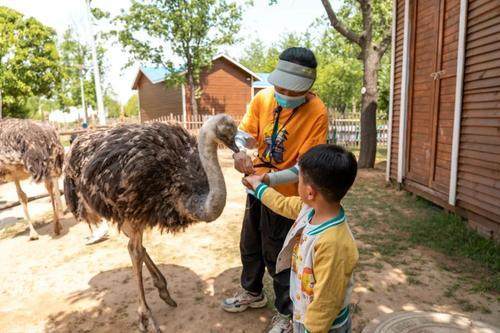 ​中秋小长假，郑州接待游客逾430万！实现旅游总收入逾20亿