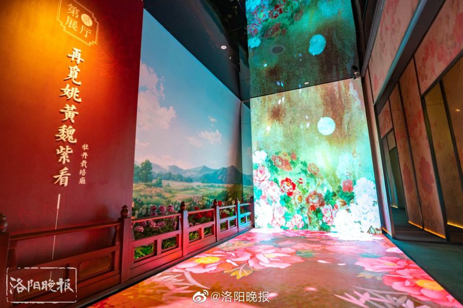 洛阳牡丹博物馆布展基本完成，预计牡丹文化节开放