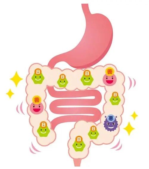 肠道不健康的5种表现，自查一下，你中招了吗？