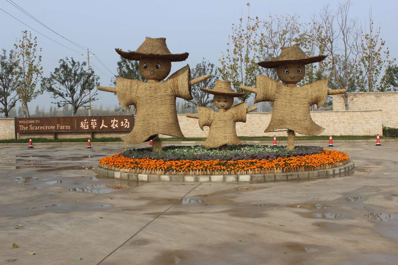 元旦景区活动指南：开启欢乐新年之旅