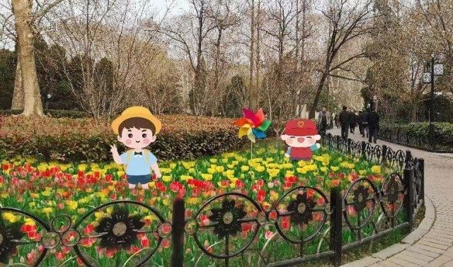 郑州人民公园第二十五届郁金香花展明天开幕