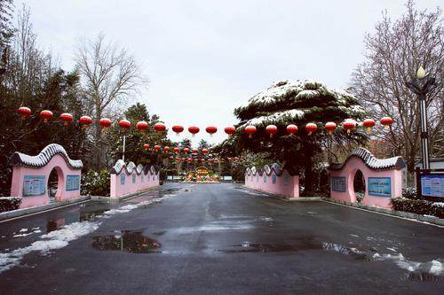 大红灯笼挂起来 七彩夜灯亮起来 郑州市碧沙岗公园装扮一新迎春节