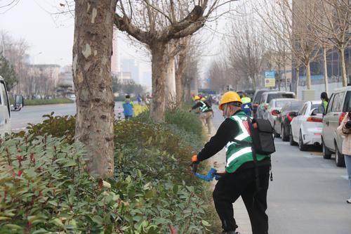 绿化技能大比拼！郑州城市道路绿化工技能竞赛开赛