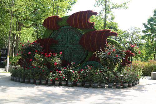 春色芳菲满园景 闲绕花枝便当游 郑州市雕塑公园春光无限