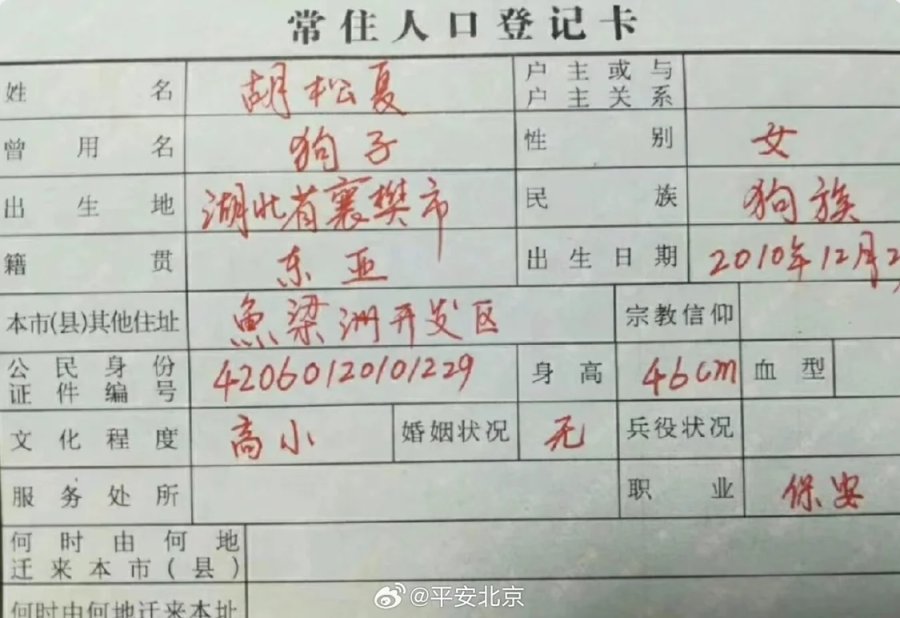 把狗写到户口本上警方或承担法律责任